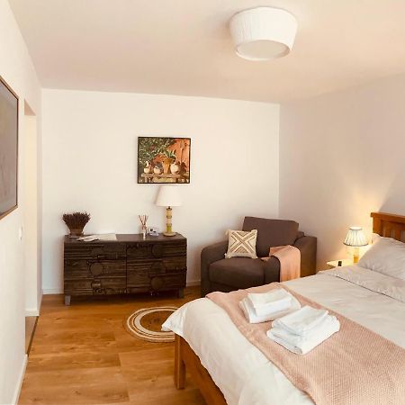 Warm And Cozy Studio Flat Near Straja Uricani  Экстерьер фото