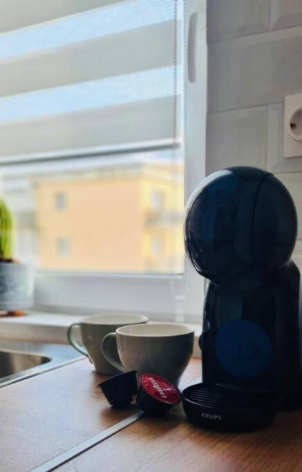 Warm And Cozy Studio Flat Near Straja Uricani  Экстерьер фото